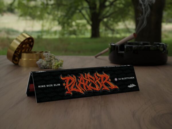 PLAISIR R