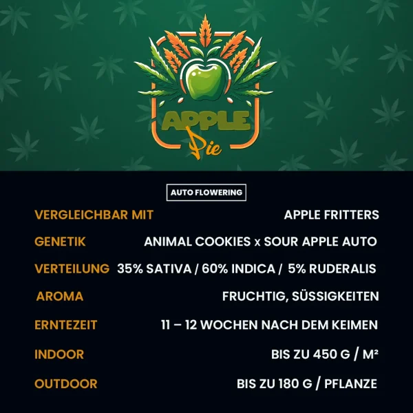 Die P Apple Pie Cannabis Samen, Autoflowering Info-Karte