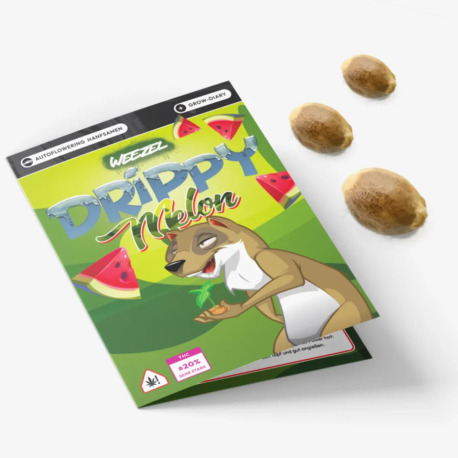 Drippy Melon Auto