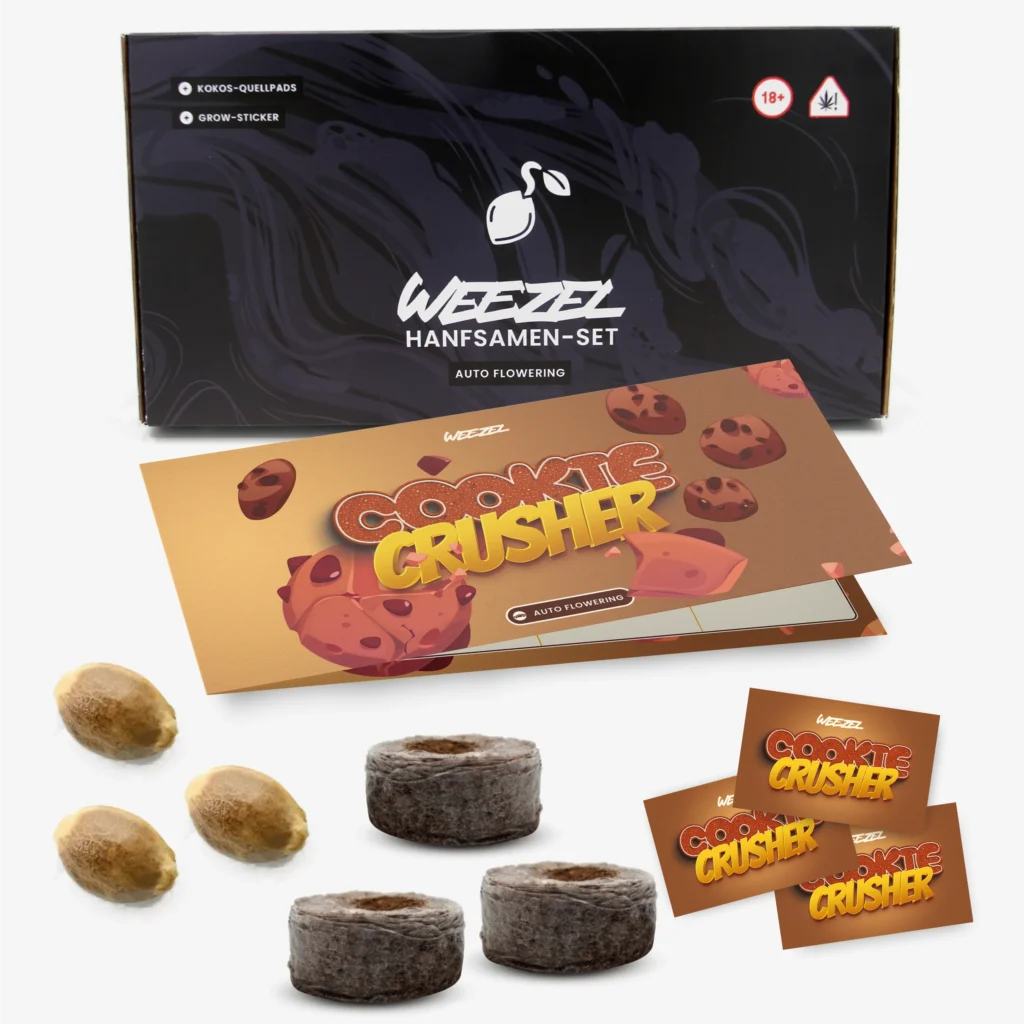 Cookie Crusher Auto - Bild 1