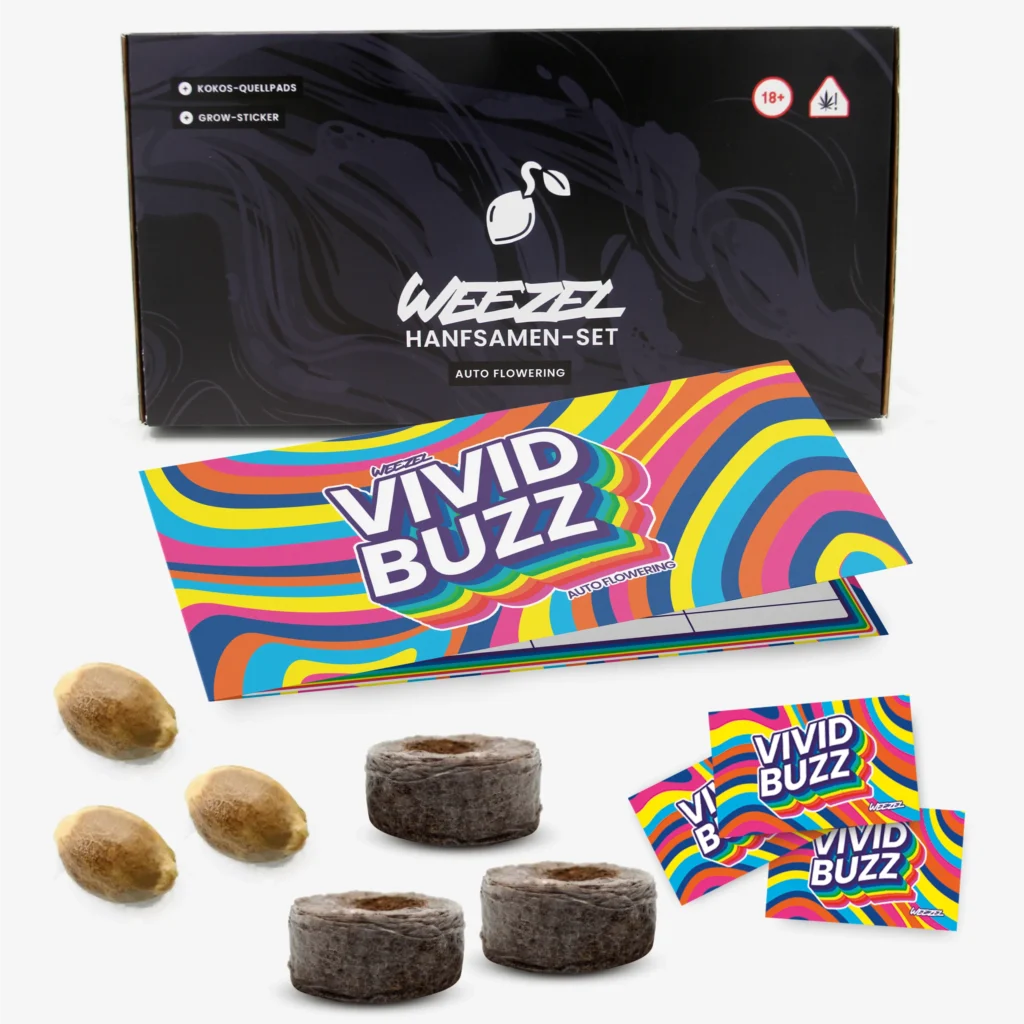 Vivid Buzz Auto - Bild 1