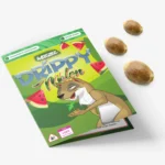 Drippy Melon