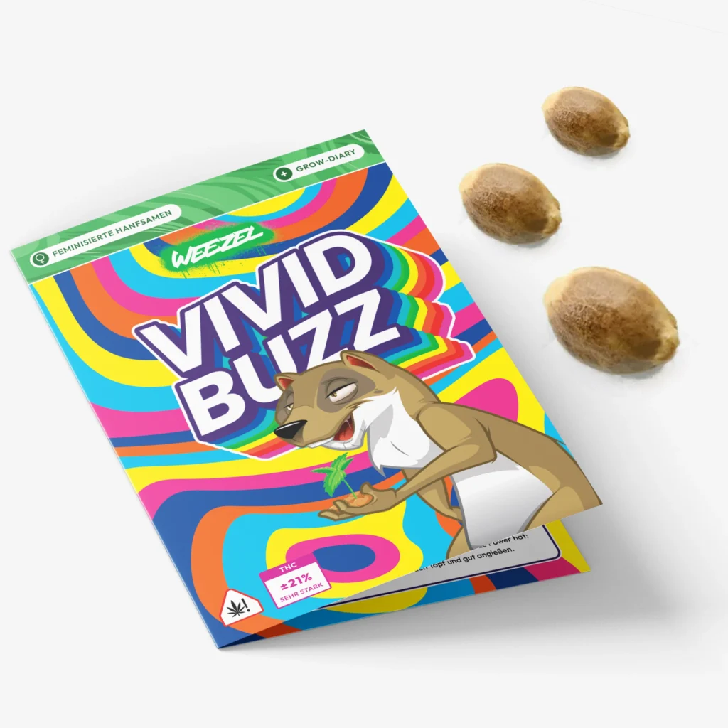 Vivid Buzz - Bild 1