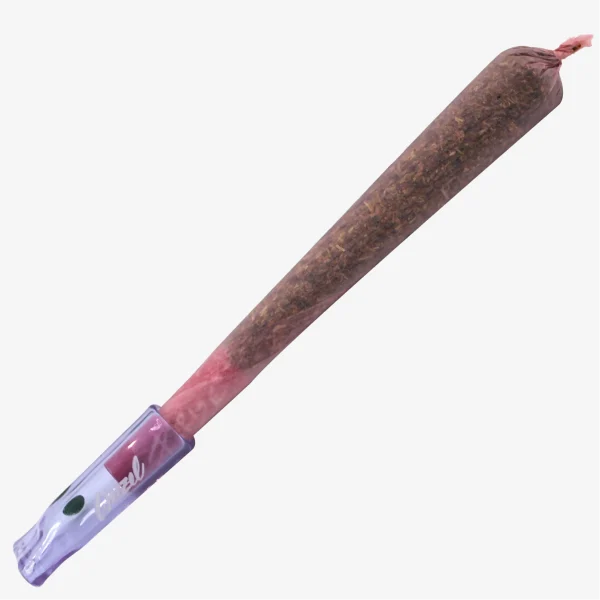 Glas-Tip Purple Kush auf einem Joint