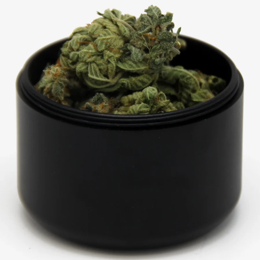 Stash Dose